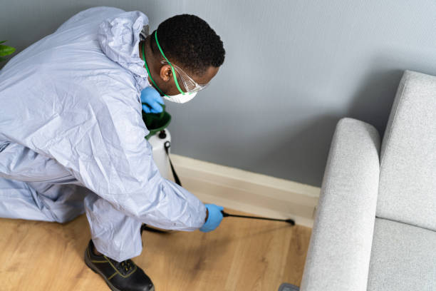 Real Estate Pest Inspections in Niagara Falls, NY